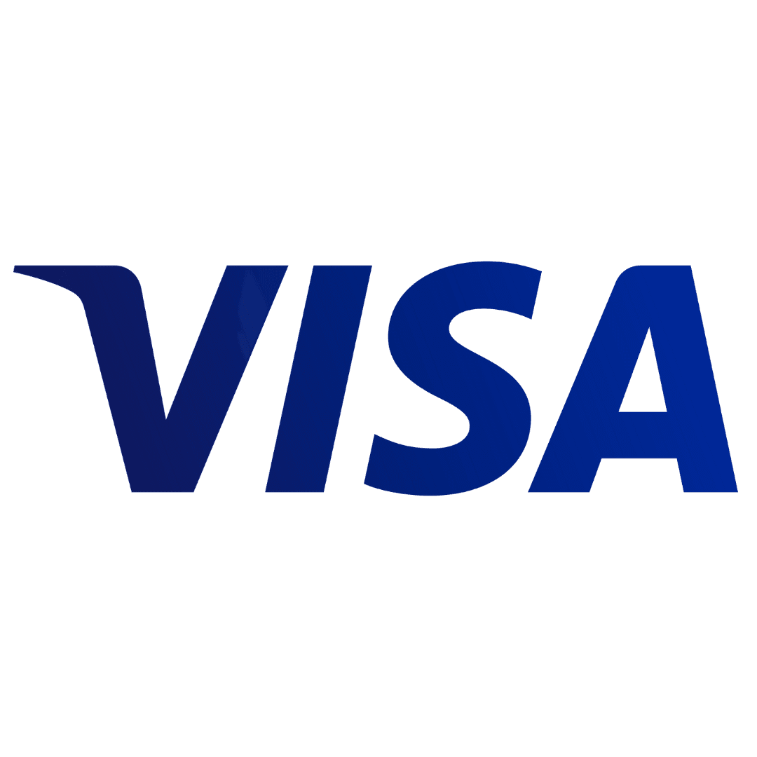 Who We Are Visa Logo