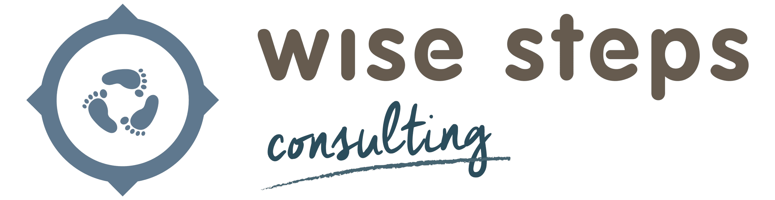 wise steps consulting