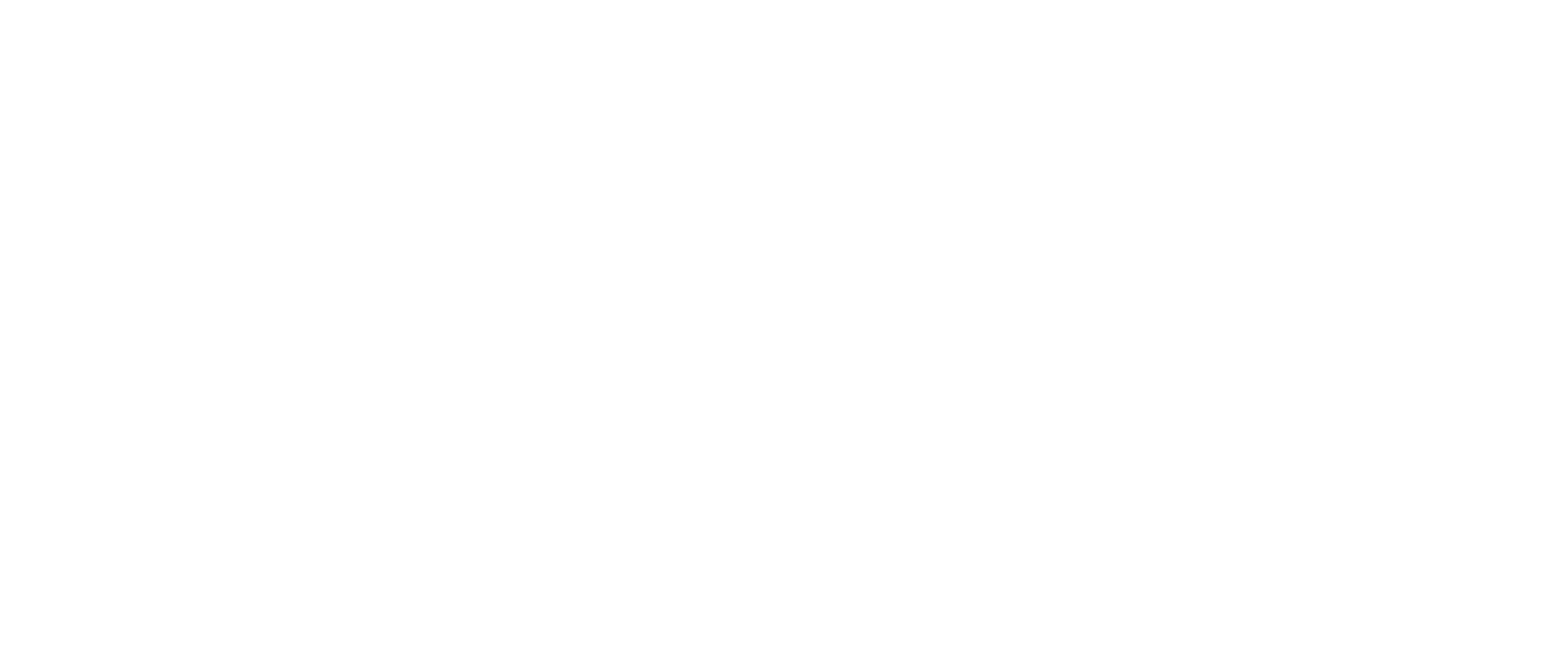 Control Union - White Logo