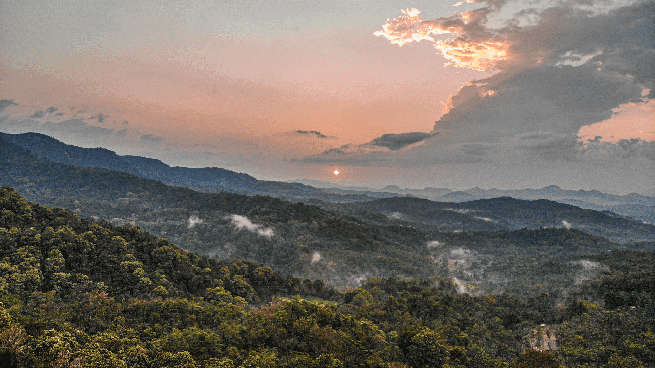 SECO Mid Term Evaluation sunset flores