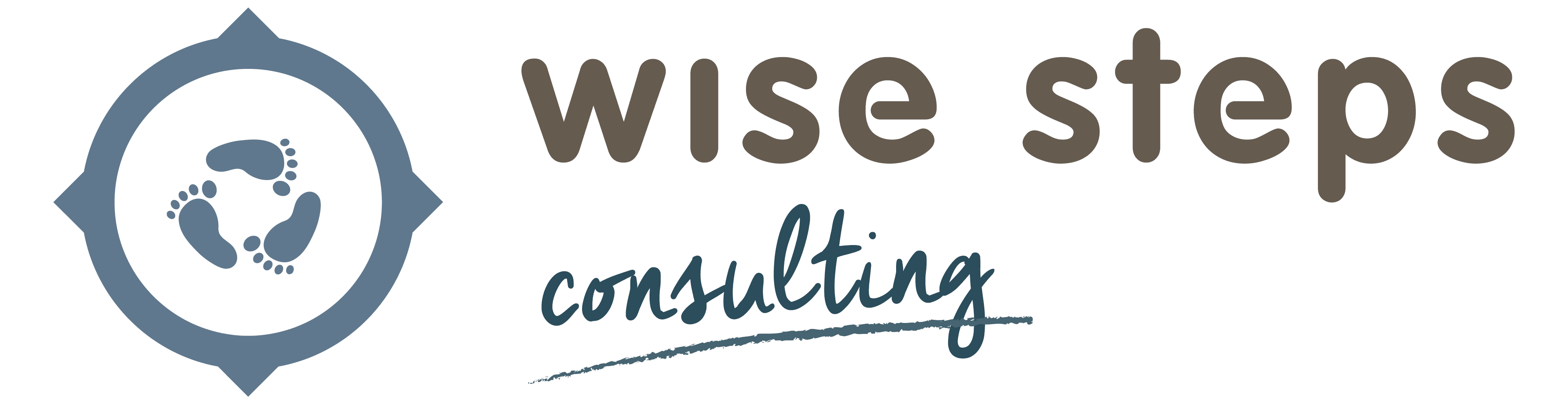 Wise Steps Consulting Social Projects wise steps consulting