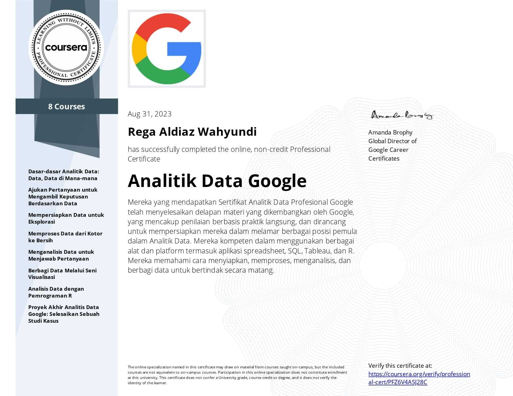 rega_analitik_google_data