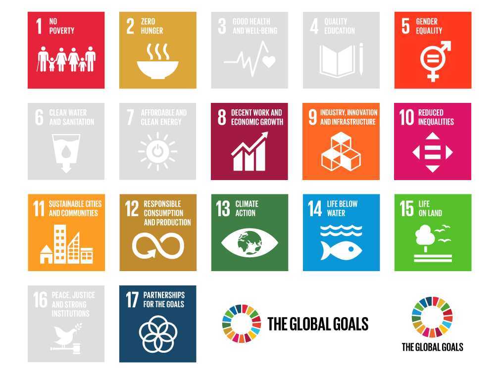 Wise Steps Consulting Social Projects sdgs_wise_action