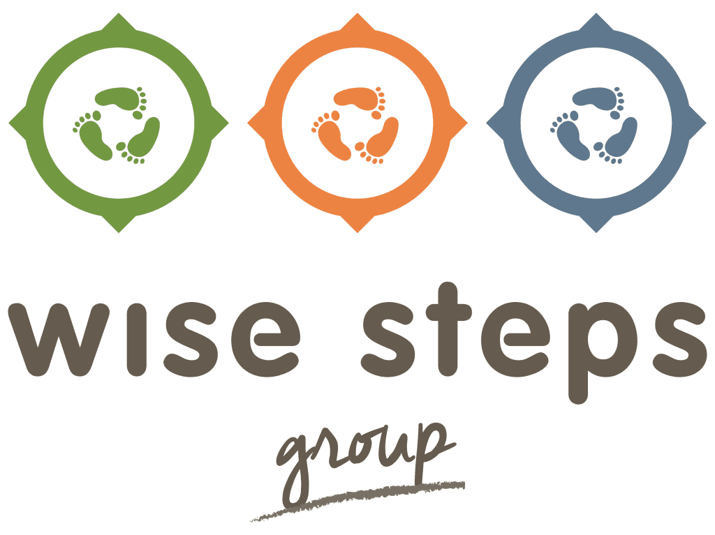 Who We Are wise steps group