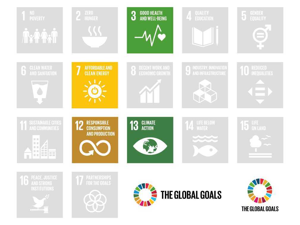 Wise Steps Consulting Social Projects sdgs_organic_waste_center