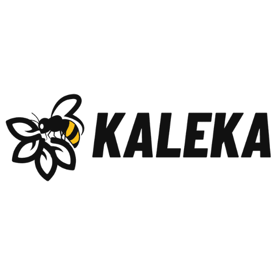 Who We Are Logo Kaleka