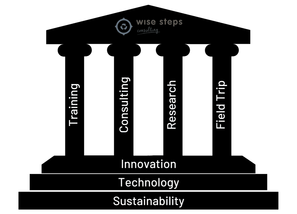 Who We Are What we do - Wise Steps Consulting