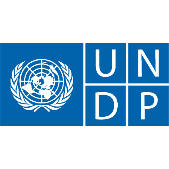 Who We Are Logo UNDP