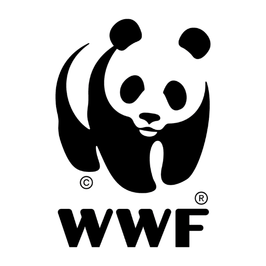 Who We Are Logo WWF