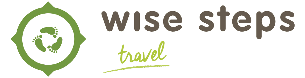 wise steps travel logo