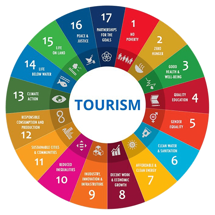 Wise Step Consulting Tourism Cycle