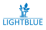 Light Blue Consulting